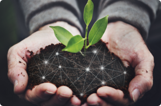 smart-farming-5-0-green-plant-product-agricultural-technology-social-media-post-background