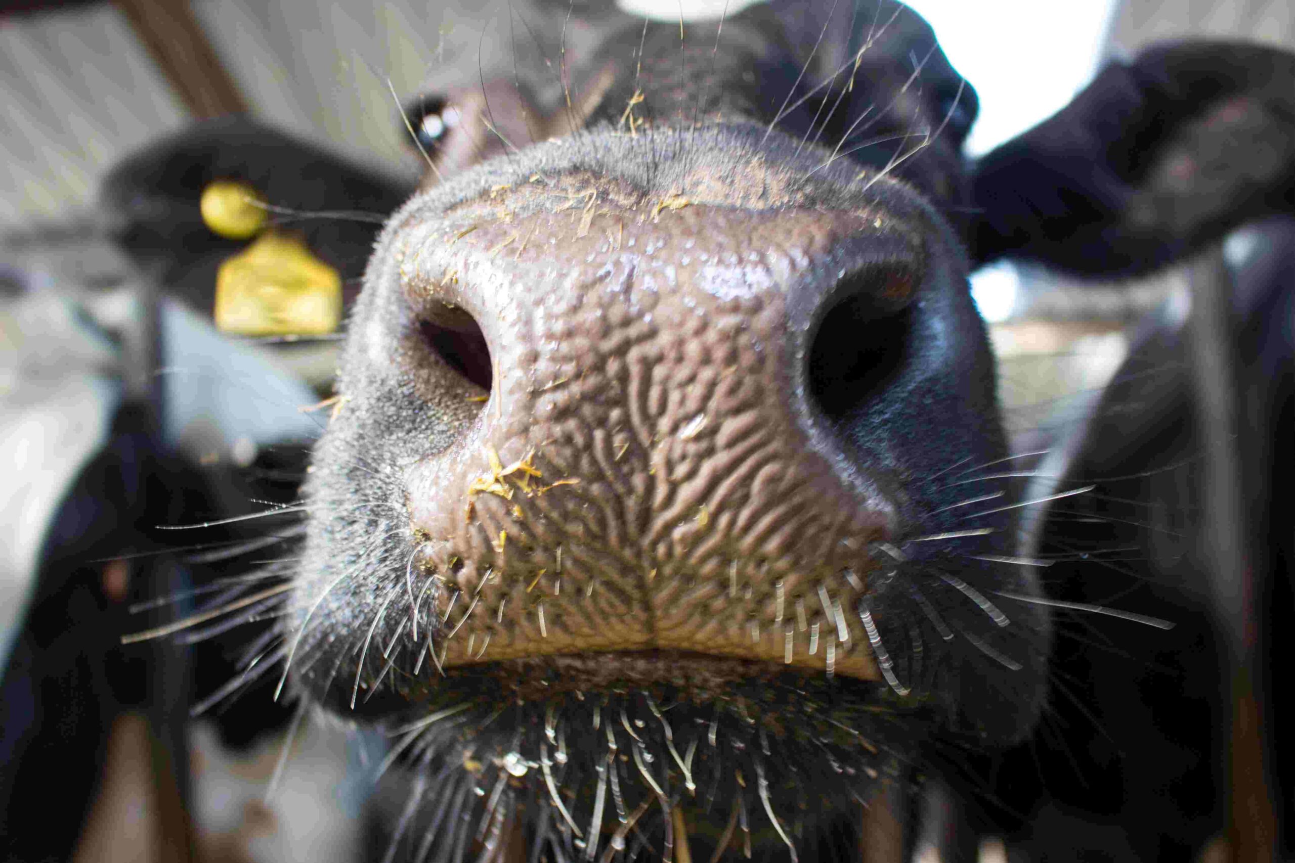 Kopie van Kopie van 1500x1000 Fieldlab (1)